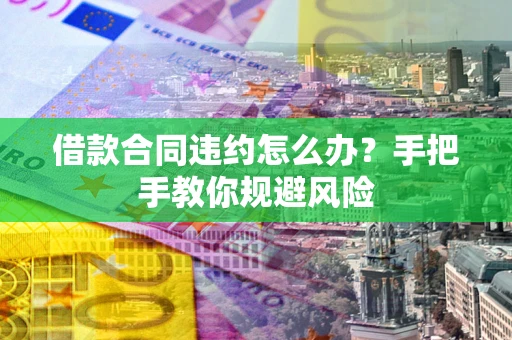 武汉借款合同违约怎么办？手把手教你规避风险