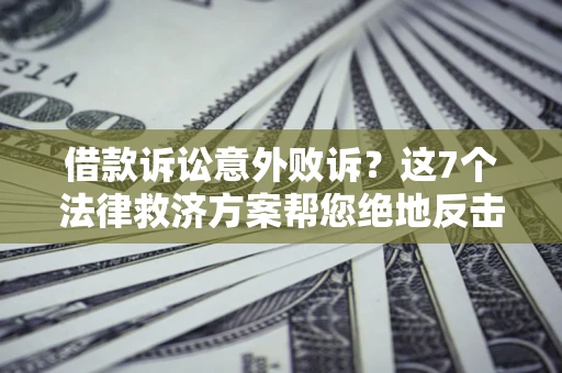 武汉借款诉讼意外败诉？这7个法律救济方案帮您绝地反击！