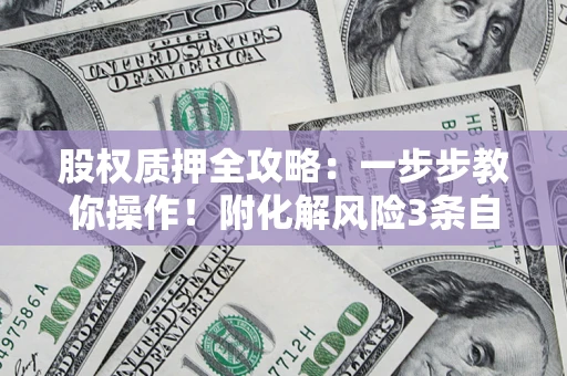 武汉股权质押全攻略：一步步教你操作！附化解风险3条自救法则