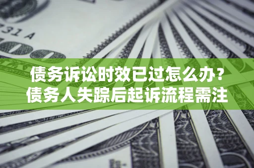 武汉债务诉讼时效已过怎么办？债务人失踪后起诉流程需注意什么？