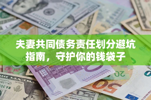 武汉夫妻共同债务责任划分避坑指南，守护你的钱袋子