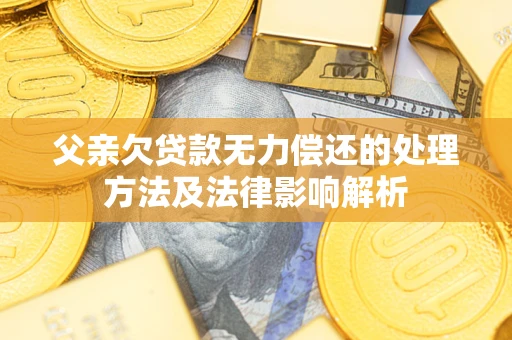 武汉父亲欠贷款无力偿还的处理方法及法律影响解析
