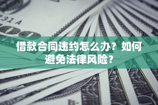 武汉借款合同违约怎么办？如何避免法律风险？