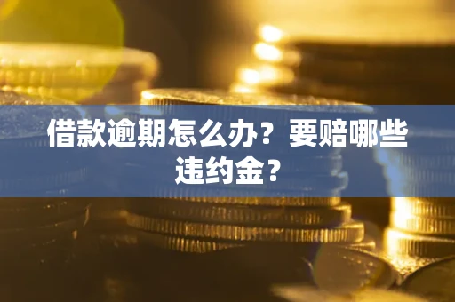 武汉借款逾期怎么办？要赔哪些违约金？