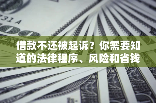 武汉借款不还被起诉？你需要知道的法律程序、风险和省钱技巧