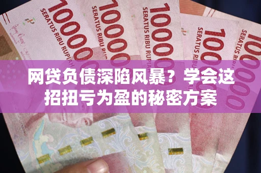 武汉网贷负债深陷风暴？学会这招扭亏为盈的秘密方案